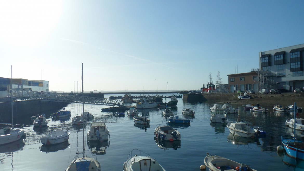 Vue panoramique sur le port.